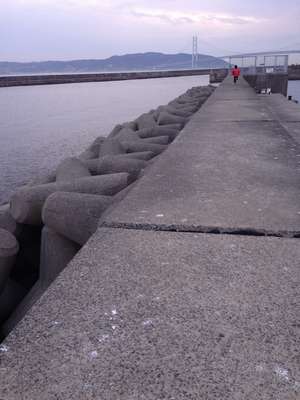 140403C.jpg