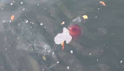 140408A.jpg