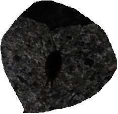 140520C.JPG