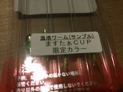 150901�Hgyokouwarm_master-cup-genntei_color.JPG